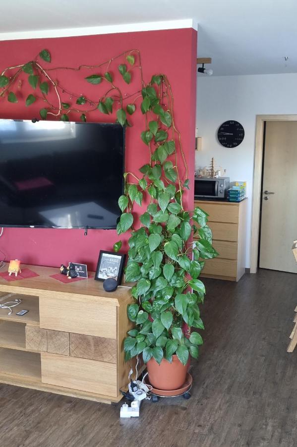 Ferienwohnung Bergidyll Schwarzenberg  Zewnętrze zdjęcie
